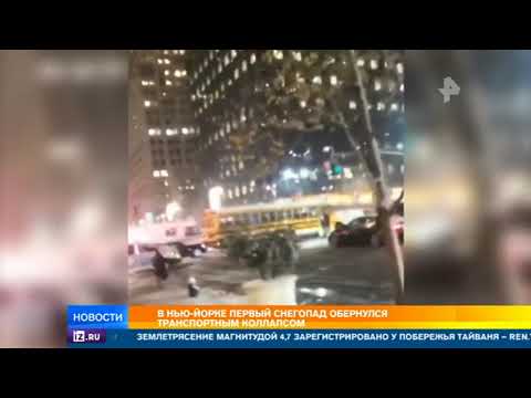 Видео: Что случилось с жителями Нью-Йорка и зимой? Сеть Матадор
