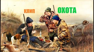 Клип !!! СОВРЕМЕННАЯ ОХОТА.