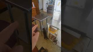Making a table into a giant fridge magnet