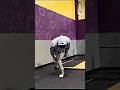 CHALLENGE of CHAMPIONS! #shortsviral #balancetraining