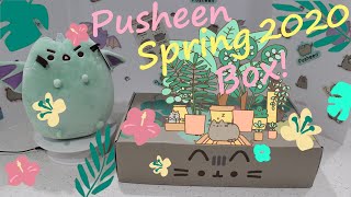 🌿 Pusheen Spring 2020 Box Review and Unbox!