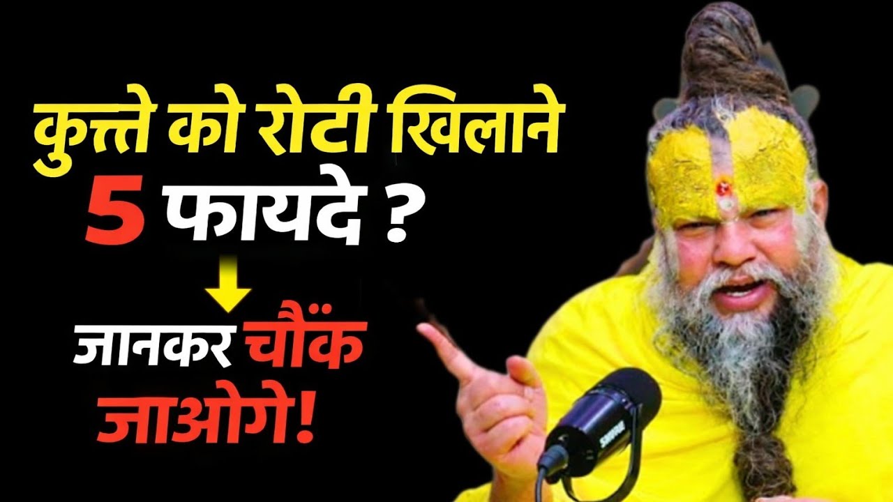 कुत्ते को रोटी खिलाने 5 फायदे ? सच जानकर चौंक जाओगे