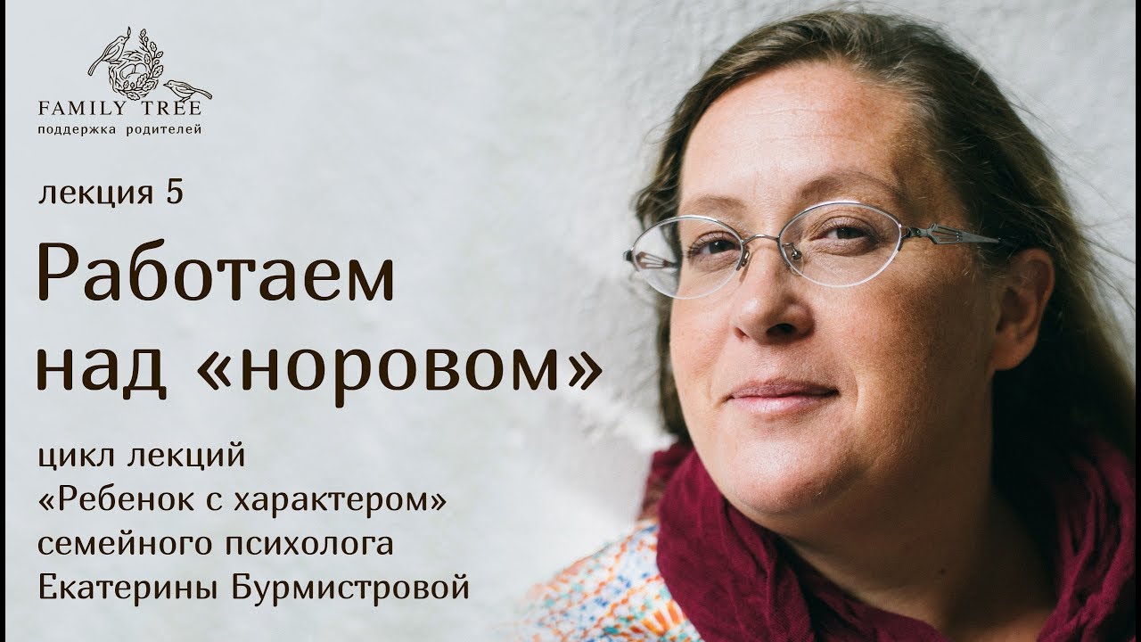 Екатерина Бурмистрова «Работаем над «норовом». Фрагмент вебинара - YouTube