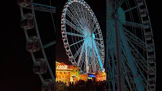 Winterwonderland #shortvideo #winterwonderland #viral