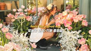 [Playlist] Feeling good today 💫 Cozy pop like warm sunshine 🌿 | GROOVE · WORK · CAFE screenshot 5