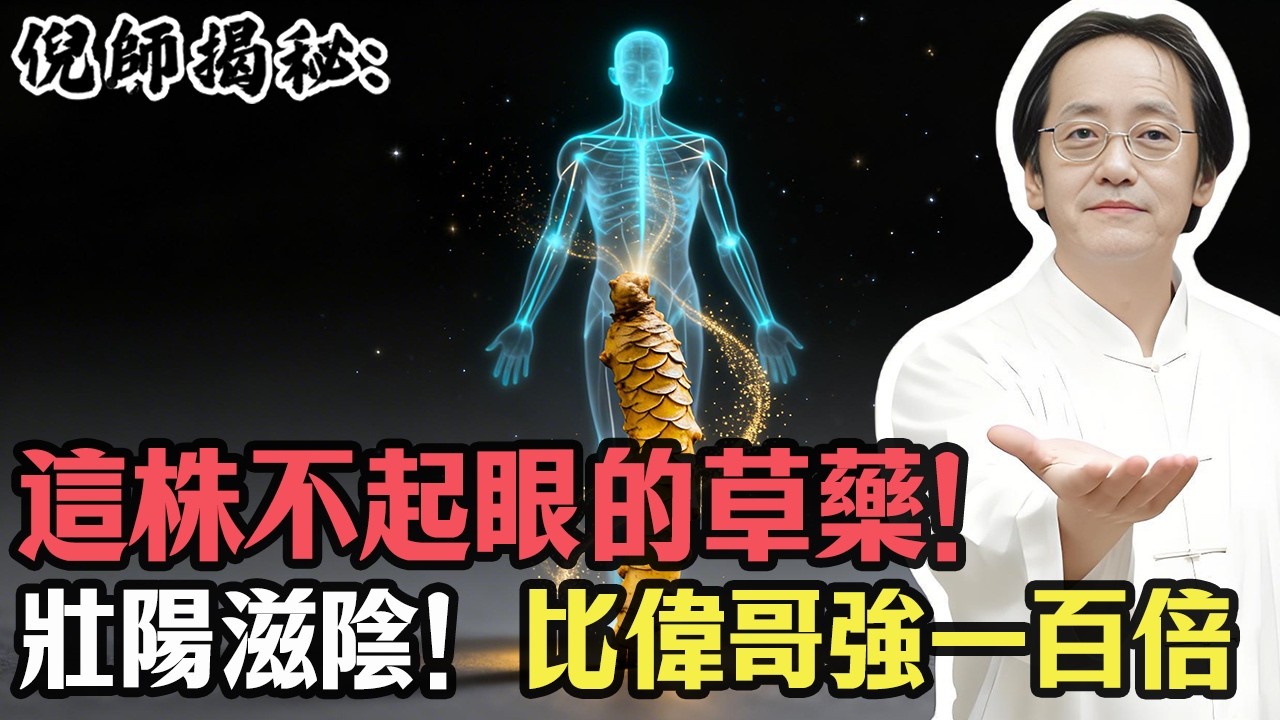 倪海廈：它是「五臟總管」！一味藥同時補肺、健脾、固腎，調和陰陽堪稱一絕！#倪海廈 #五臟總管 #黃精 #調和陰陽 #中醫養生