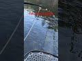#youtuber #fishing #fyp #viral