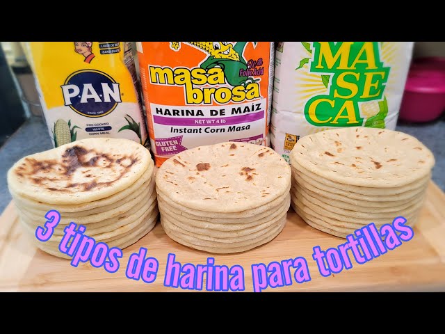 Cómo hacer una tortilla 50/50 de maíz y trigo - Masienda