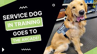 Service Dog in Training goes to Arcade! 👀🎮🐕‍🦺 by helperpupatlas 1,537 views 1 year ago 11 minutes, 25 seconds