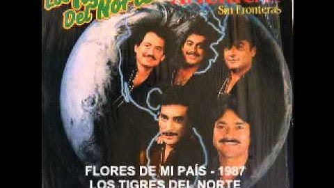 Los Tigres del Norte  Flores de mi pais