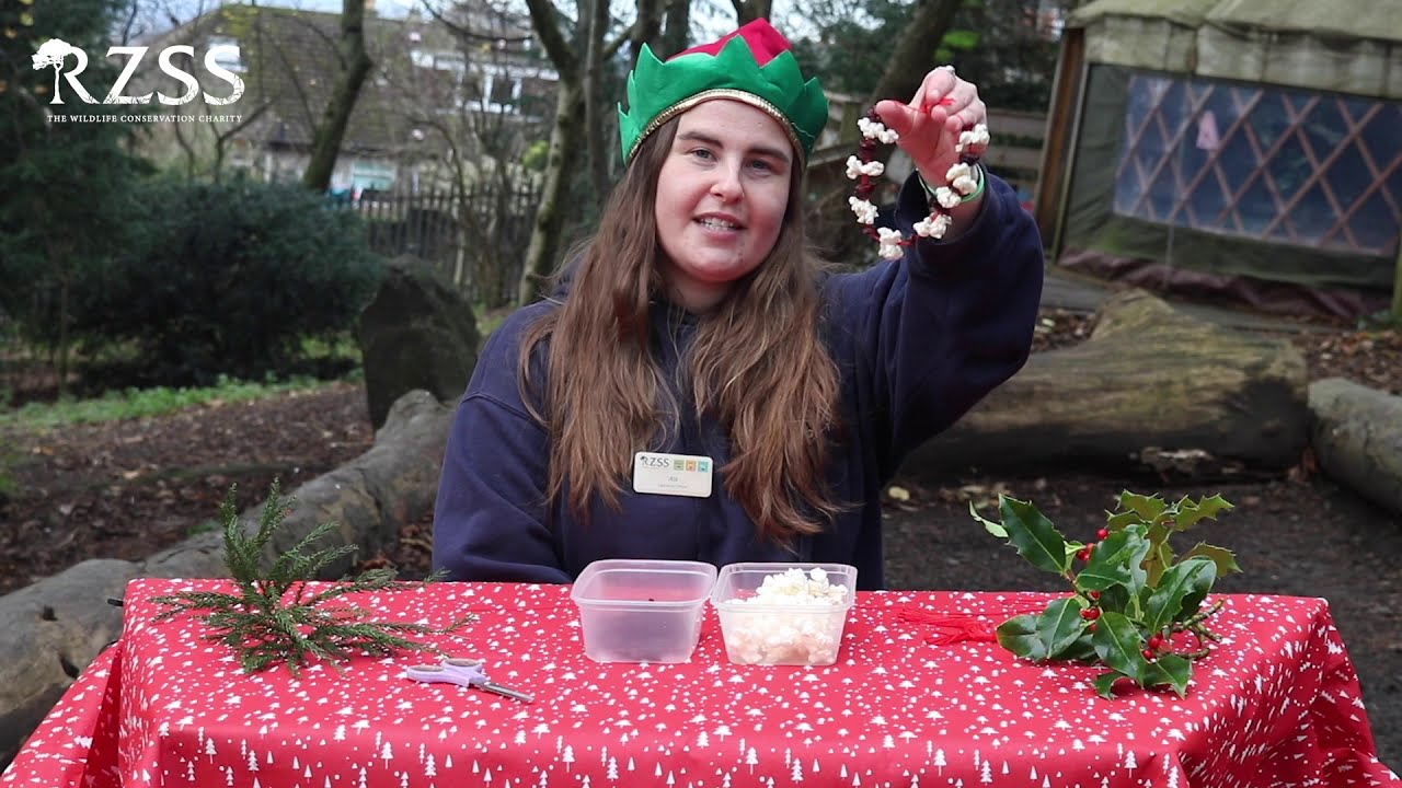 RZSS Christmas Crafts Bird Food Garland YouTube