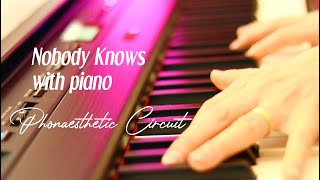 Phonaesthetic Circuit presents Nobody Knows with piano