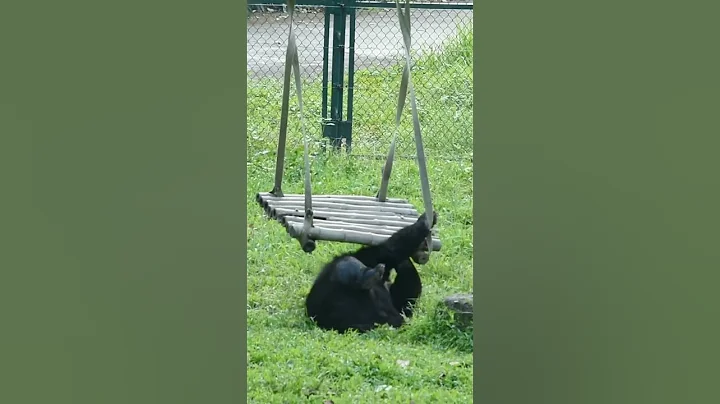 Michael masters the swing!