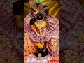 तेरा सब कुछ #love #song #shyam #shyamkripa #hindisong #premanandjipravachan #wollywood song