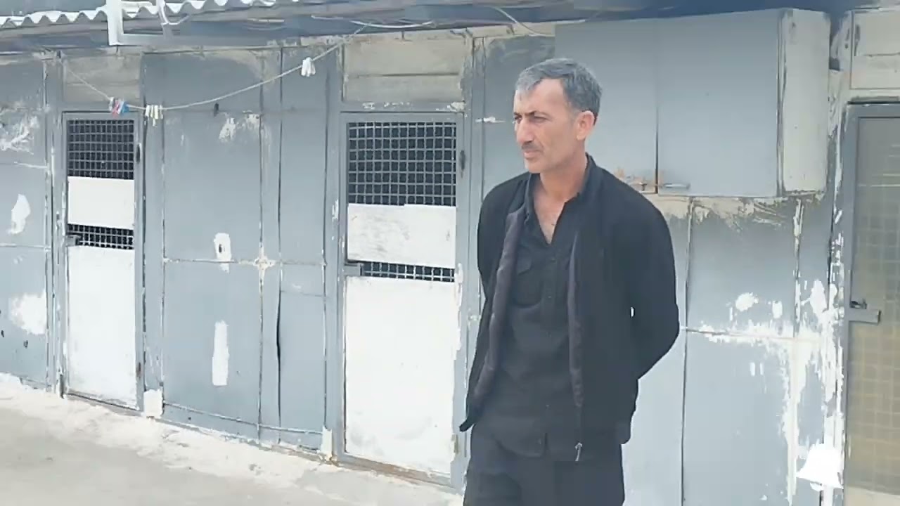 BƏHLUL QARDAŞIN 3 AYRI-AYRI YERLƏRDE GÖYƏRÇINLERI: