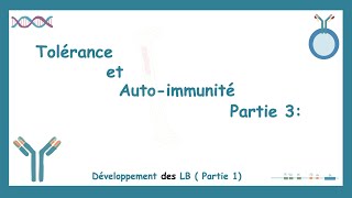 Tolérance Et Auto-Immunité Partie 3: Développement Des LB.
