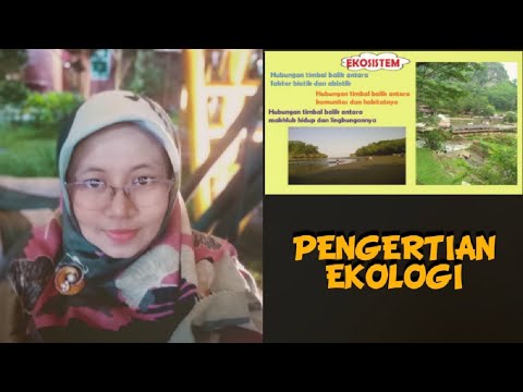 Pengertian Ekologi (bab Ekologi)