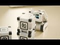 Introducing the Cozmo SDK