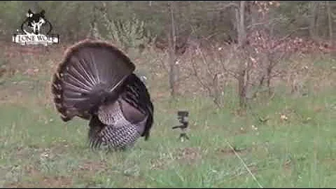 Whitetail1tv Prostaffer Todd Coates takes his daug...