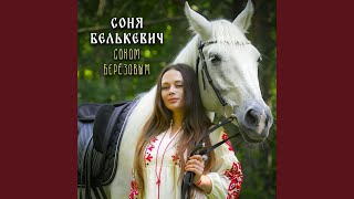 картинка: Соком Берёзовым