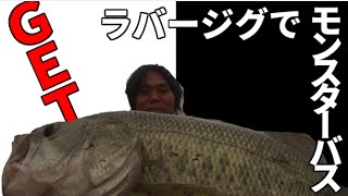 バス釣り　ラバージグでデカバスＧＥＴ！