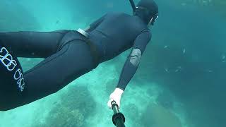 Freediving KohTao ประสบการณ์ฟรีไดฟ์เกาะเต่า