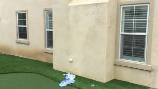 Artificial Grass Melting from Window