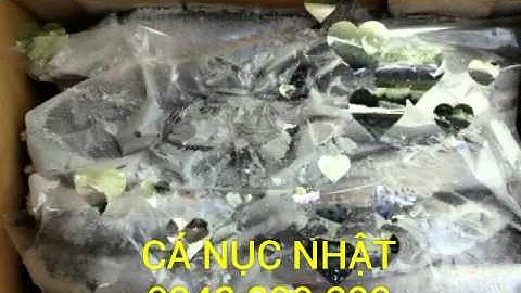 Cá nục nhật bản