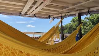 Hammock Timelapse