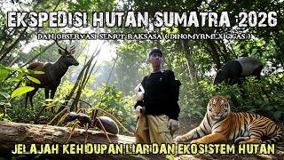 EKSPEDISI HUTAN SUMATRA || JELAJAH OBSERVSI KEHIDUPAN JENIS SEMUT DI ALAM LIAR DAN EKOSISTEM HUTAN !