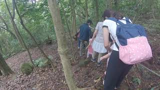 20200530 興福寮農場-9