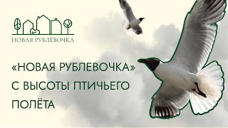 Новая Рублевочка с высоты птичьего полета