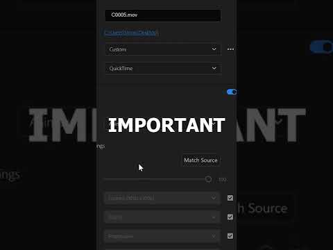 How To Export