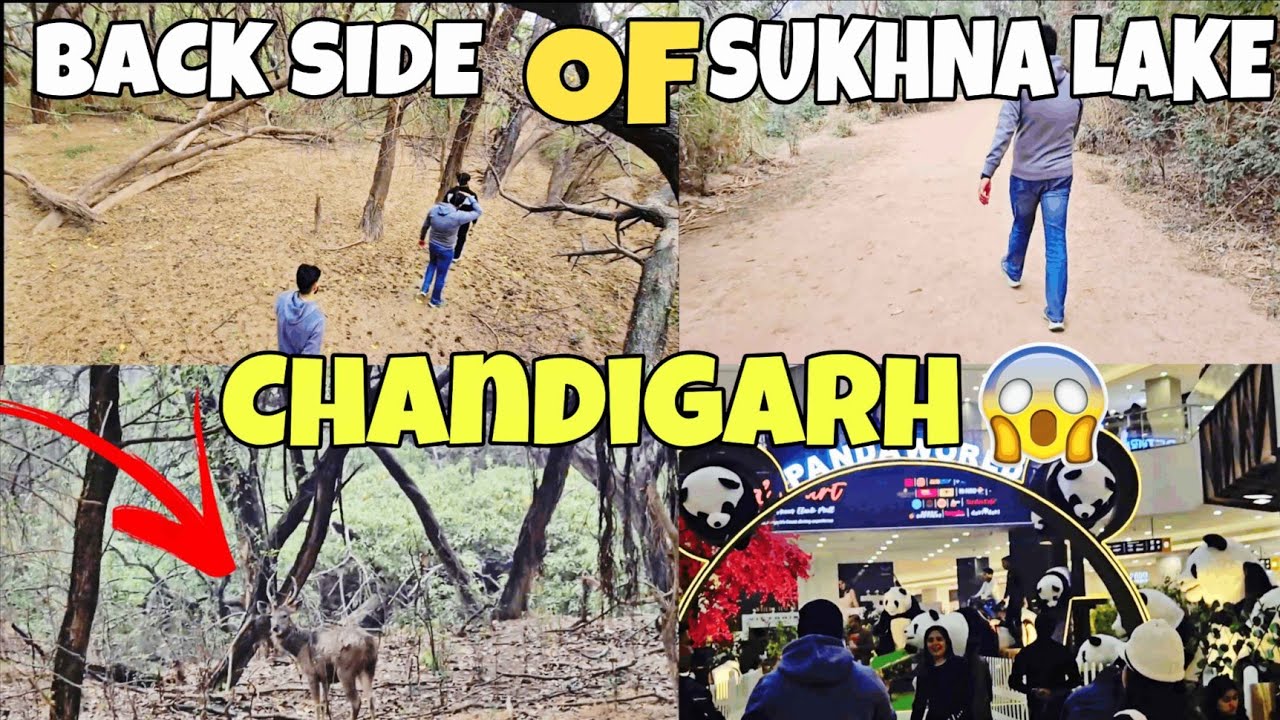 SUKHNA LAKE chandigarh ka pura such😱 full sukhna lake visit with friends 🔥🔥😱#vlog #funnyvlog #funny 