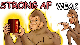 The Creatine Guide For Apes More Strength, More Power, No Magic