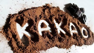 Невероятные факты о какао! Узнайте, почему так необходимо пить какао, особенно, если вы старше 40 Невероятные факты о какао! Узнайте, почему так необходимо пить какао, особенно, если вы старше 40
