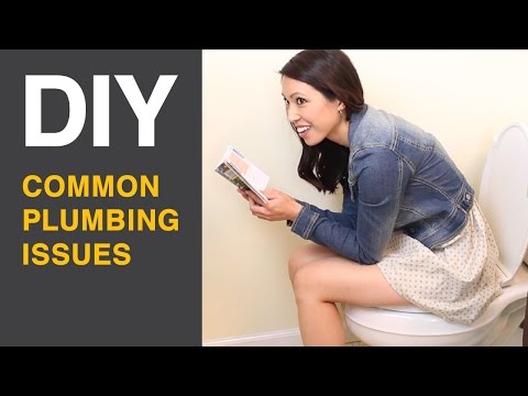 DIY Toilet and Garbage Disposal Plumbing Repairs DIY Toilet and Garbage Disposal Plumbing Repairs