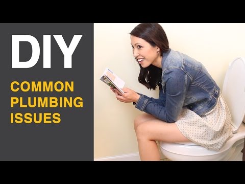 DIY Toilet and Garbage Disposal Plumbing Repairs