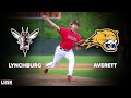 Averett university vs lynchburg hornets baseball