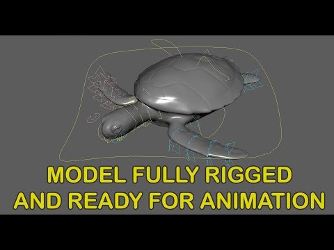 Green SeaTurtle Rig Preview