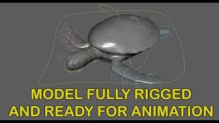Green SeaTurtle Rig Preview