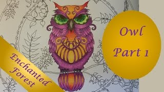 The Owl - Part 1 - Enchanted Forest by Johanna Basford - Speed Coloring