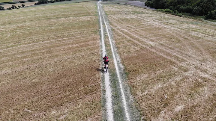 Alice Holt and Littleton Down