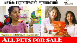 All Pets in One Place || செல்ல பிராணிகளின் சரணாலயம்  || Exotic Birds || Oor Naattan