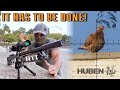 RTI P3 and Huben K1 Lite: the Pigeon-Smacking Duo!