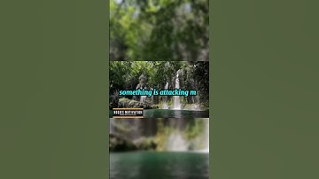 Turning Setbacks into Setups for Success | Motivation | Nogies Motivation