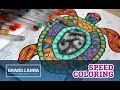 SPEED COLORING // Море и солнце // Гелевые ручки FixPrice, Tukzar