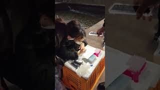 Science in Fishfarm!!