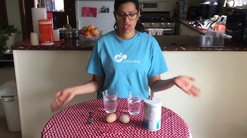 Discovery at Home: The Floating Egg Experiment