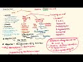 Treatment of Gout Pharmacology